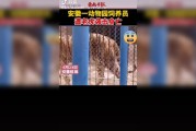 击毙外逃老虎原因(老虎吃人全过程)